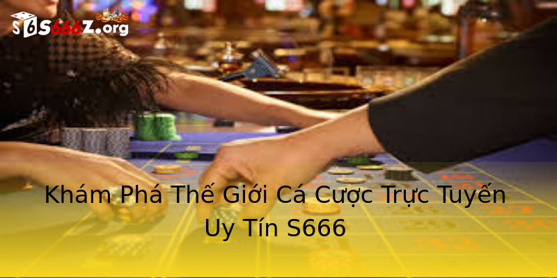 S666 - Khám Phá Thế Giới Cá Cược Đỉnh Cao - Bí Mật & Cơ Hội