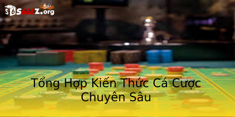Tổng Hợp Kiến Thức Cá Cược Chuyên Sâu Tổng Hợp Kiến Thức Cá Cược Chuyên Sâu