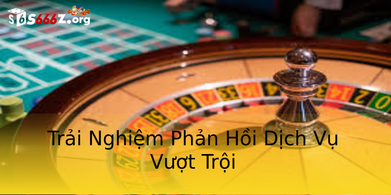 Trải Nghiệm Phản Hồi Dịch Vụ Vượt Trội Trải Nghiệm Phản Hồi Dịch Vụ Vượt Trội